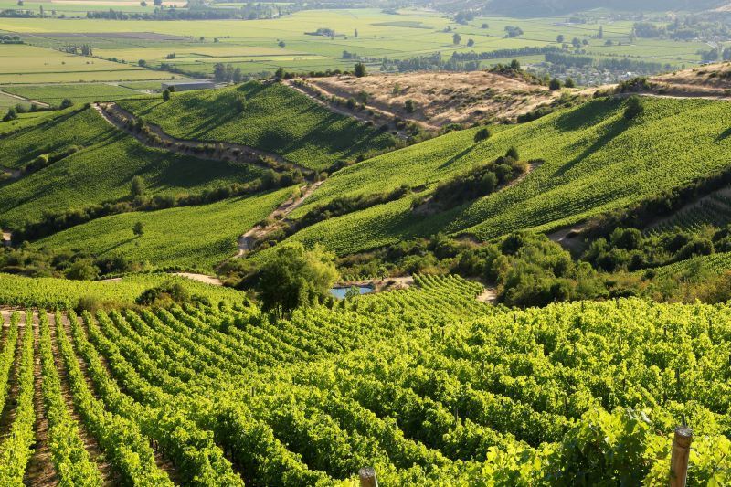 World's Best Vineyards 2020
